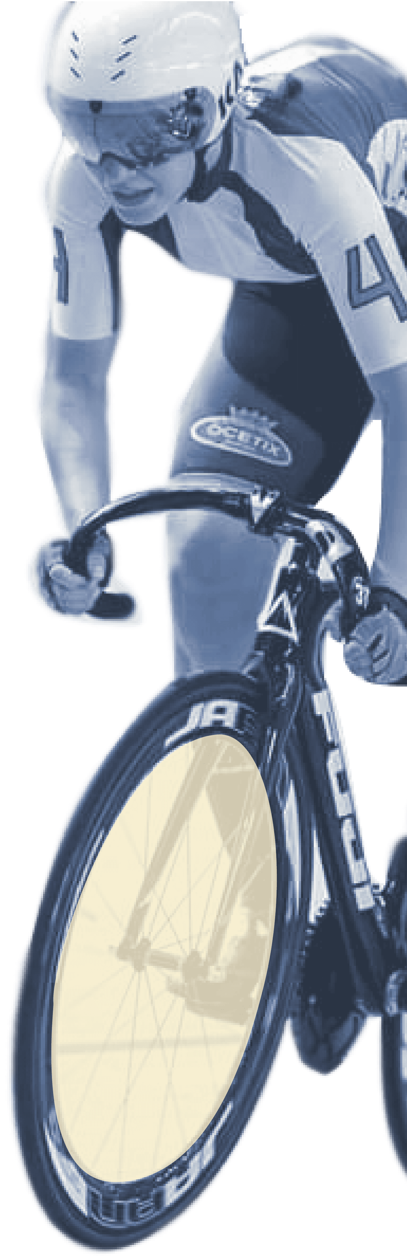 Opis działań fundacji